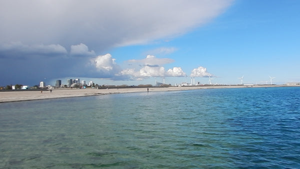 Family house with garden, front row facing the sea, close to everything Cph has  Copenhagen, Denmark Beach facing house close to everything in Cph Entire villa vacation rental 51573833