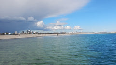 Family house with garden, front row facing the sea, close to everything Cph has  Copenhagen, Denmark Beach facing house close to everything in Cph Entire villa vacation rental 51573833