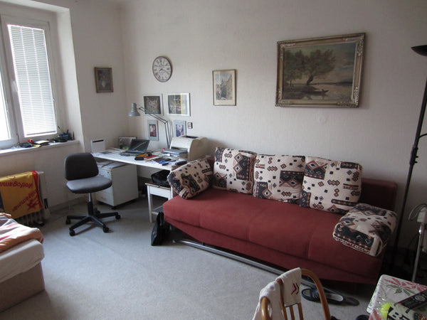 Wohnzimmer, Küche, Bad, WC, <br />ein Doppelbett + Sofa - ausziehbar<br />Satell  Nice apartment in an amazing locality Entire rental unit vacation rental 18716976