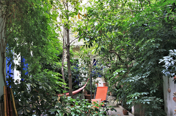 Difficult to believe you are not on an island village but in the very centre of  Greece A green oasis in the centre-Escape the city chaos Entire rental unit vacation rental 22788864