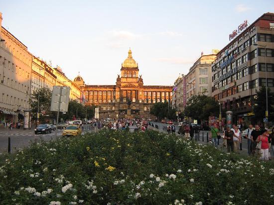 My place is close to Wenceslas Square- main Boullevard of Prague, Riegrovy sady, Prague, Czechia Eliska s  Accommodation 2 Entire rental unit vacation rental 14867460