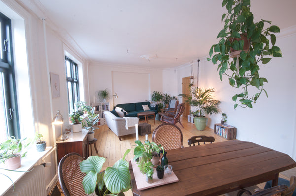 Beautiful apartment in Copenhagen's hip area Nørrebro. With large rooms with gre Denmark 100 sqm cozy urban jungle, spacious apartment Entire rental unit vacation rental 20814317