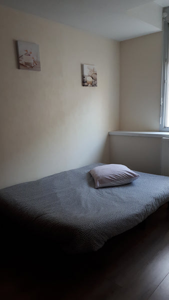 Chambre privative de 10m2 comportant un canapé lit, une armoire, table de chevet Lyon, France situé à 10 mn à pied de la presqu'ile Private room in rental unit vacation rental 39984604