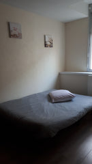 Chambre privative de 10m2 comportant un canapé lit, une armoire, table de chevet Lyon, France situé à 10 mn à pied de la presqu'ile Private room in rental unit vacation rental 39984604
