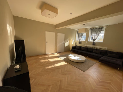 Your accommodation is the "Palais Palffy" it is located right in the center in t Vienna, Austria DG 8- BIG -Central modern -apartment Entire rental unit vacation rental 50718441