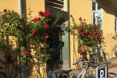 Situated by Christianshavn kanal in the heart of old Copenhagen. Newly renovated Copenhagen, Denmark Venice in Copenhagen Entire rental unit vacation rental 35796373