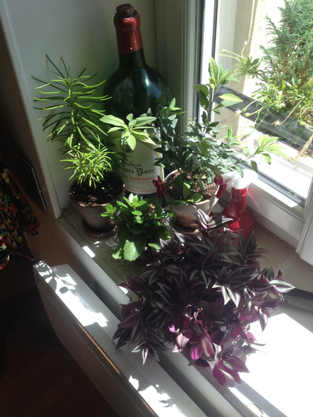 Studio cosy de 20m² au cœur de Montmartre, à deux pas du Moulin Rouge, de la pla Paris, France Studio Montmartre Abbesses Entire rental unit vacation rental 6689342