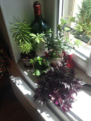 Studio cosy de 20m² au cœur de Montmartre, à deux pas du Moulin Rouge, de la pla Paris, France Studio Montmartre Abbesses Entire rental unit vacation rental 6689342