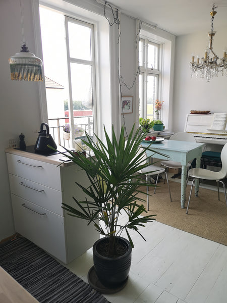 Not big, but very cosy. You walk into the kitchen dinerroom and there is a nice  Copenhagen, Denmark Lovely Christianshavn in the heart of Copenhagen Entire rental unit vacation rental 37877917