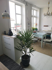 Not big, but very cosy. You walk into the kitchen dinerroom and there is a nice  Copenhagen, Denmark Lovely Christianshavn in the heart of Copenhagen Entire rental unit vacation rental 37877917