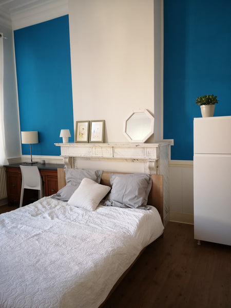 Chambre et sdb privative située au second étage d'une belle maison de maître typ Brussels, Belgium Belle chambre lumineuse dans une maison de maître Private room in home vacation rental 20253524