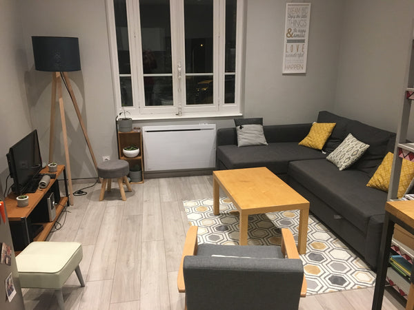 Appartement T2 confortable de 38 m², située à proximité des trams T2 et T4 (en 1 Lyon, France Appartement très bien équipé, cosy dans le 8ème Entire rental unit vacation rental 30532436