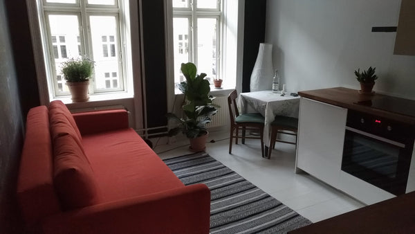 Little but incredibly placed apartment,  just around the corner from the old mea  Cozy apt in trendy, vibrant Vesterbro Entire condo vacation rental 43662001