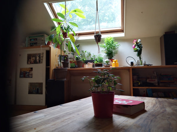 We offer a private room in a beautiful 60 m2 apartment in the heart of Gambetta  Paris, France Nice room in cosy apartment in Gambetta Private room in rental unit vacation rental 18301098