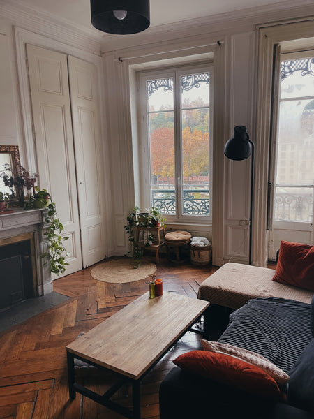 Ce logement unique est proche de tous les sites et commodités, ce qui facilite l Lyon, France superbe appartement Lyonnais vue sur Saône Entire rental unit vacation rental 772515316401345346