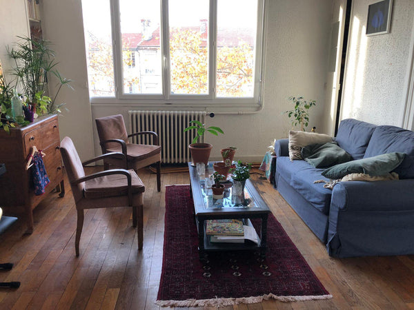 Très proche du centre de Lyon et des animations lumineuses pour cette période de Lyon, France Chaleureux appartement au coeur du 7ème ! Private room in rental unit vacation rental 53656223