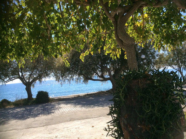 Sea views, five minute walk to a vibrant harbour/fishing village. Coffee shops,  Makry Gialos, Greece Stratos Studio no.1 peaceful sea view apartment. Entire rental unit vacation rental 43886344