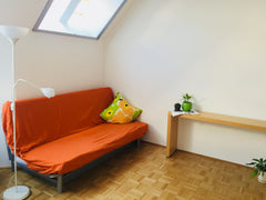 I welcome only female and couple travellers ! <br /><br />Please kindly  write m Vienna, Austria Spacious living room in a shared apartment Private room in rental unit vacation rental 27488491