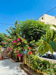 Ground floor house with its yard in the center of Kos city. Easy access to the h  Ground floor house with yard near the down town Entire home vacation rental 18007426