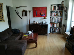 My flat is in front of LE PARC DE LA VILLETTE and LE CANAL DE L'OURCQ which is t Paris, France The place to be in Paris ! Entire rental unit vacation rental 13613477