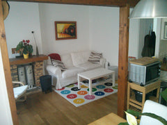 Bright cosy apartment in the 16e arrondissement. Just a few steps away from the  Paris, France Trocadero - Cosy 1 bedroom apt 40m2 Entire rental unit vacation rental 4427295