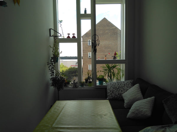 Cozy little studio in the area of Nørrebro. Be aware it is little (30m2)! There  Copenhagen, Denmark Cozy little studio in Nørrebro Entire rental unit vacation rental 19572161