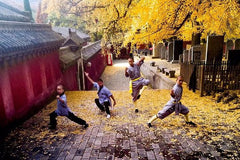 Private Day Tour to Shaolin Temple with Kungfu Show from Kunming by Air  Private Tours and Travel Guide Asia Shanghai CITY Kunming Destination Tour Asia Shanghai CITY Kunming