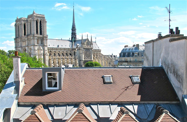 Welcome to our penthouse duplex with AC, with a breathtaking view of Notre Dame  Paris, France A DUPLEX ON NOTRE DAME : SEVERINE Entire loft vacation rental 15650425