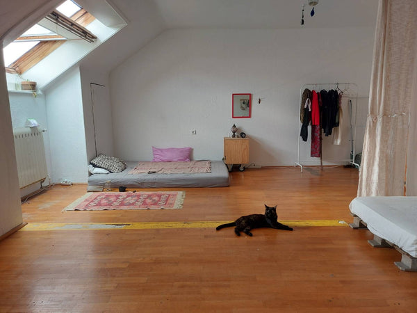 Enjoy Vienna in this nice flat - near to the center aswell as to the beautiful d  Beautiful rooftop room in Vienna Private room in rental unit vacation rental 682518432789066983