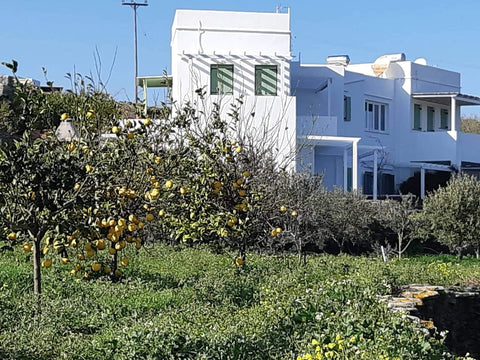 Brand new House available with a car, in Sifnos on the pathway to Chrisopigi and Athens, Greece House near path to Chrisopigi & Kastro Entire home vacation rental 31825031