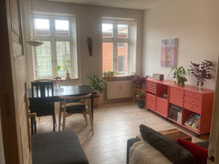 The apartment is just 50 meters from the lakes, 1 km. from downtown Nørrebro and Copenhagen, Denmark Cozy small apartment by the lakes Entire rental unit vacation rental 13285810