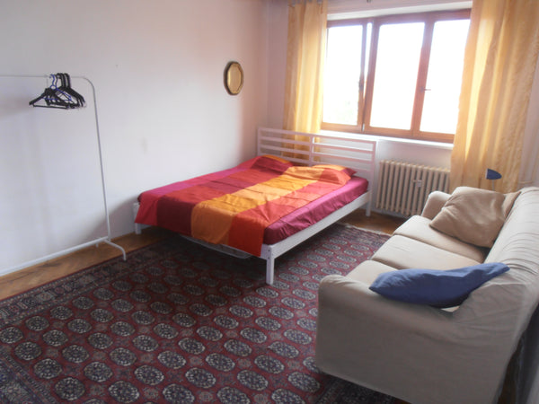 A bright, spacious room in a quiet, safe, residential area, close to all the loc Prague, Czechia PRAGUE 3 ŽIŽKOV - PERFECT LOCATION Private room in rental unit vacation rental 561841