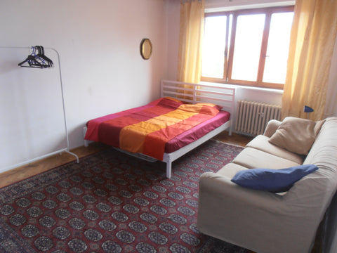 A bright, spacious room in a quiet, safe, residential area, close to all the loc Prague, Czechia PRAGUE 3 ŽIŽKOV - PERFECT LOCATION Private room in rental unit vacation rental 561841