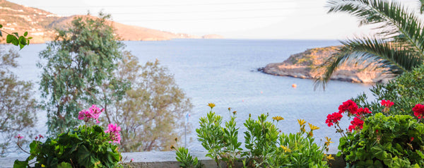 Welcome to the little blue nest! This cozy studio has one big bed and a sofa-bed Athens, Greece The cozy nest:) Entire home vacation rental 19452559