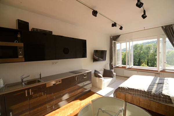 Newly renovated, studio in the heart of Prague.  Directly next to the beautiful  Prague, Czechia Fabulous river view studio in the heart of Prague Entire rental unit vacation rental 44273050