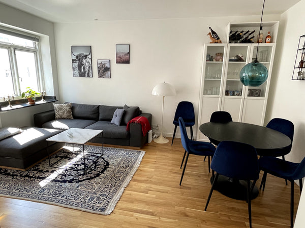 Charming apartment in the heart of Copenhagen. You won't find a more central loc  Lovely apartment in the heart of Copenhagen Entire vacation home vacation rental 633160443627326438