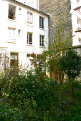 BASTILLE AREA ATELIER D'ARTISTES EN STUDIO SUR COUR, IDÉAL FAMILLE OU GROUPE D'A Paris, France Bastille Area Perfect Quiet Nest Entire rental unit vacation rental 3929915