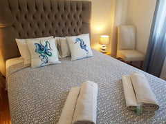 WELCOME TO CASA IRAKLIDON! A true Athenian house in the heart of the city! Apart Turin, Piedmont, Italy Casa Iraklidon (Thissio, Athens city center) Entire condo vacation rental 18762925
