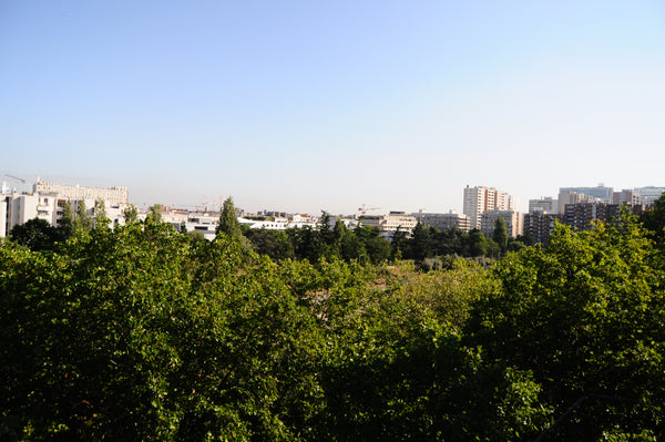 A large one-bedroom with floor-to-ceiling windows in both the bedroom and living Paris, France Sunny and spacious Paris apartment Entire rental unit vacation rental 7183853
