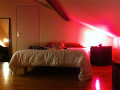 Chambre spacieuse dans un joli duplex situé à deux pas de la station Grange Blan Lyon, France Chambre privée pour la fête des lumières Private room in rental unit vacation rental 22062071