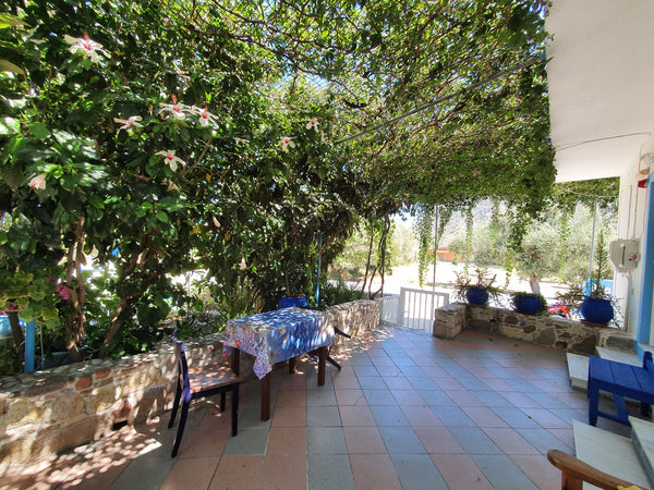 Kos, Greece Traditional place next to the beach 2 Farm stay vacation rental 44489502