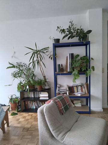 Appartement de 70 m carré en plein cœur de la commune de Forest et à deux pas du  Forest : appartement lumineux proche du parc Entire condo vacation rental 625007110026131004