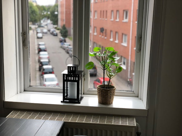 A very nice and big apartment in Nørrebro. <br />Nørrebro is placed in City - Cl Frederiksberg, Denmark R32, 2. th Very nice 2 bedrooms apartment in City Entire serviced apartment vacation rental 638815740313057935