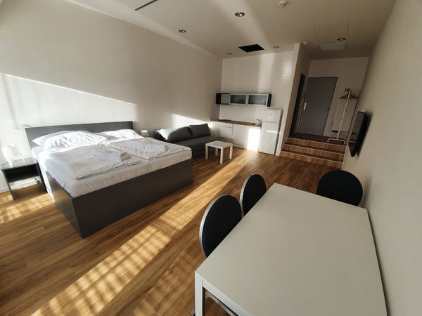 Prostorné, klimatizované studio, kterému dominuje terasa s výhledem na Václavské Prague, Czechia Luxusní studio s terasou Entire serviced apartment vacation rental 46658415