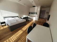 Prostorné, klimatizované studio, kterému dominuje terasa s výhledem na Václavské Prague, Czechia Luxusní studio s terasou Entire serviced apartment vacation rental 46658415