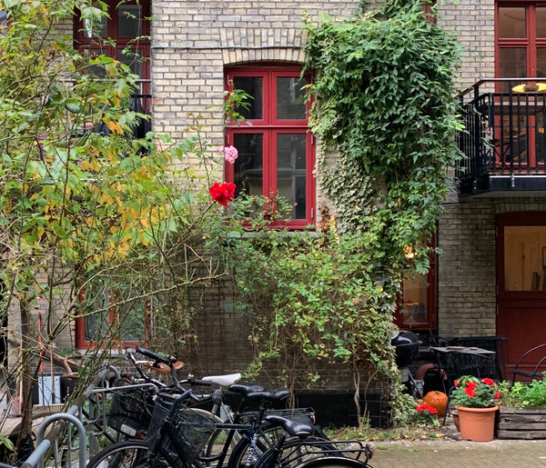 Top floor apartment on Møllegade, Nørrebro. The apartment is bright, with a beau  Top floor apartment Møllegade Nørrebro Entire rental unit vacation rental 632324960951233250