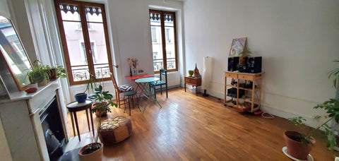 Bonjour !<br /><br />Je loue mon appartement situé dans le 7ème arrondissement d Lyon, France Appartement cosy Saxe-Gambetta Entire rental unit vacation rental 773763873102607404