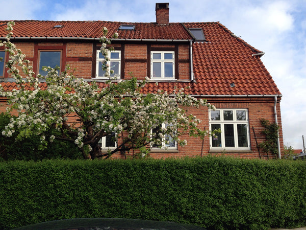<b>The space</b><br />Classic 1919 villa in a quiet and scenic area in Copenhage Brønshøj, Denmark Classic villa in quiet scenic area Entire villa vacation rental 1011997