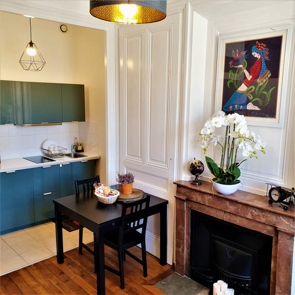 NOUS PROPOSONS UNE REDUCTION POUR LES SEJOURS SUPERIEURS A 5 JOURS, CONTACTEZ NO Lyon, France Lilas-Confort Appt Lyon Centre Pl Guichard*Netflix Entire rental unit vacation rental 38166066
