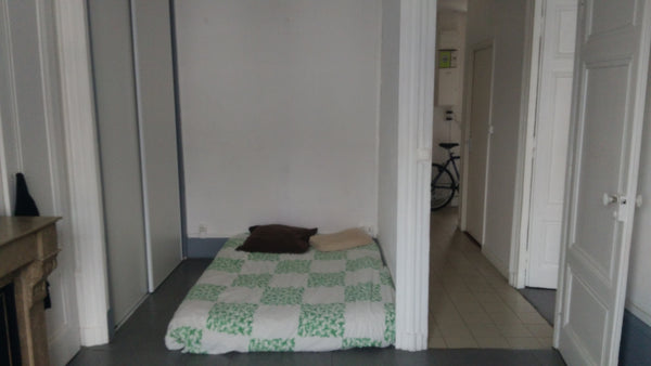 Je vous propose de séjourner dans mon appartement située au 4eme étage avec asce Lyon, France Appartement au cœur de Lyon Entire rental unit vacation rental 23533983